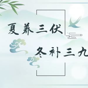 꽡ܡҽƣУƪ